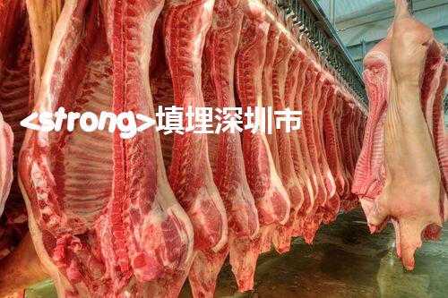 <strong>填埋深圳市危險(xiǎn)廢物處理站有限公司化工設(shè)施安全解體：如何高效處理復(fù)雜工業(yè)遺留問題？</strong>